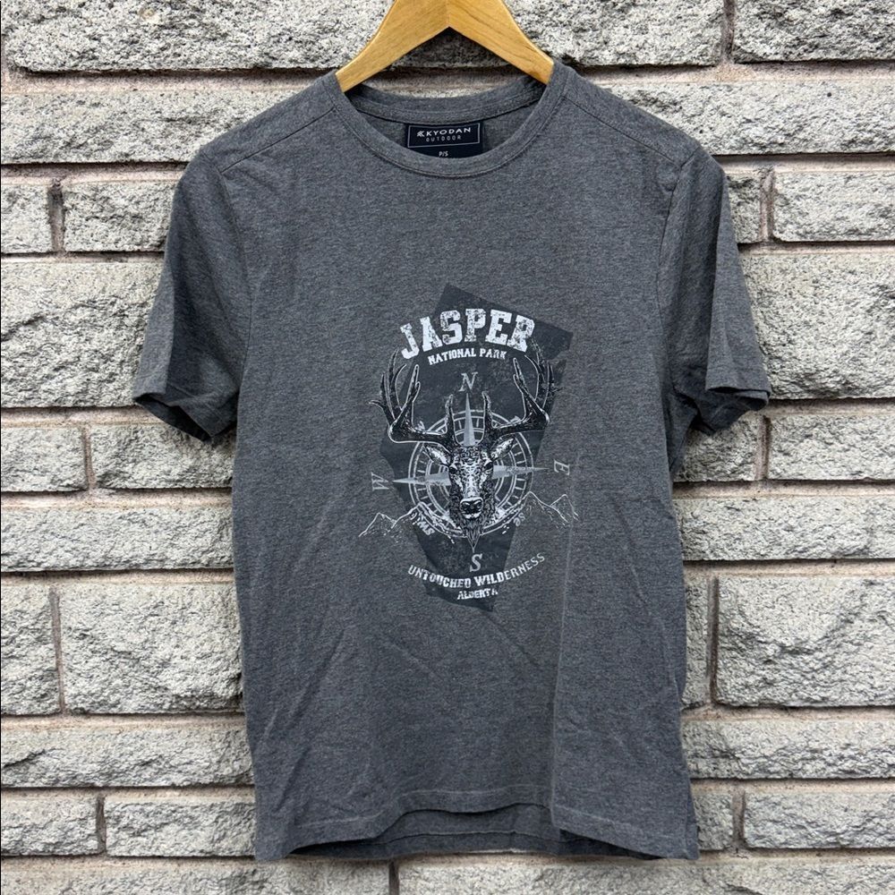 Men's Gray Jasper National Park T-Shirt sz Small